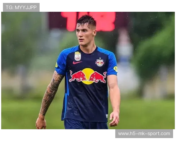 专家建议谢什科谨慎回归