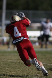 体育mk-德甲球队视频分析辅助防守站位调整的实证研究，德甲身体对抗