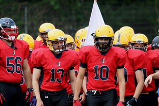 mk体育全站-球员伤病防护不足，球员伤病对球员的影响