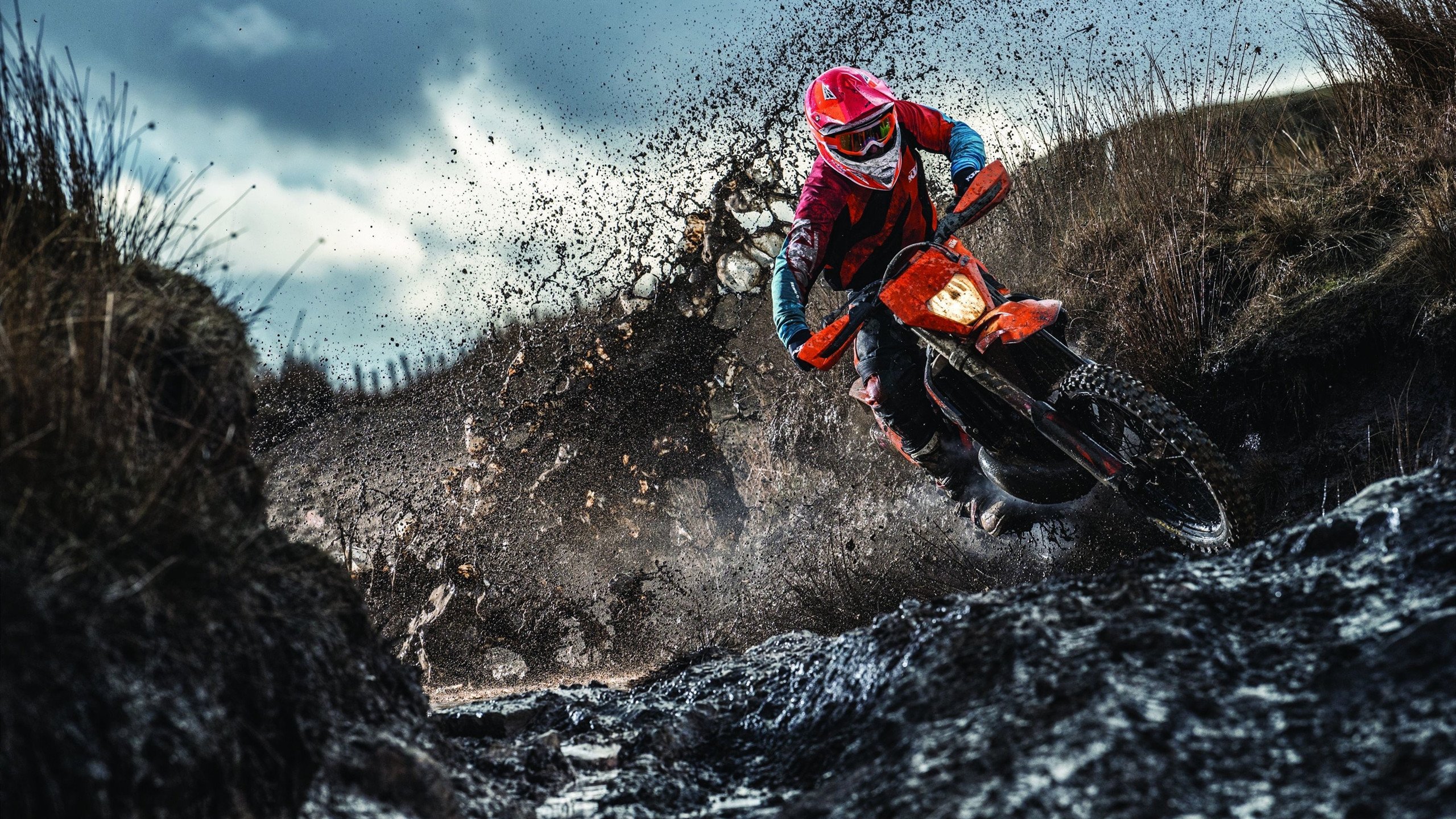 马尔尚决赛表现赢得媒体好评，马尔尚决赛表现赢得媒体好评的句子